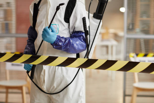 Professional Sewage Cleanup technician working in Wheat Ridge, CO